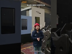 Hydraulische Bagger Schwerlast-Abrissschere