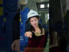 Pulverisier Felsbrecher Betonzerkleinerung Baggeranbaugerät Stein Hydraulikschere